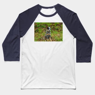 Kla pup a Baseball T-Shirt